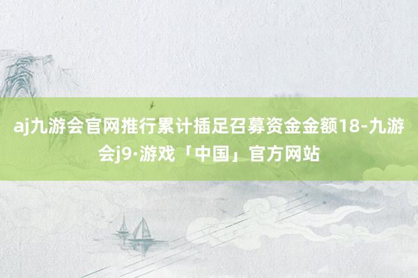 aj九游会官网推行累计插足召募资金金额18-九游会j9·游戏「中国」官方网站