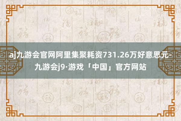 aj九游会官网阿里集聚耗资731.26万好意思元-九游会j9·游戏「中国」官方网站